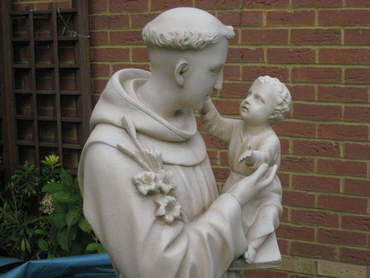 [IMG_5269_resize.JPG]