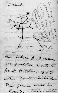 Darwin's Tree of Life