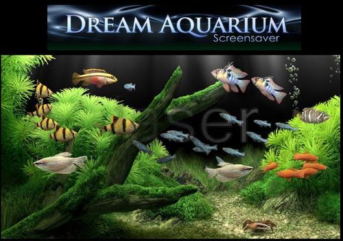 wallpaper aquarium. aquarium wallpapers Dream