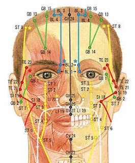 obat herbal gambar titik akupuntur face meridian chart