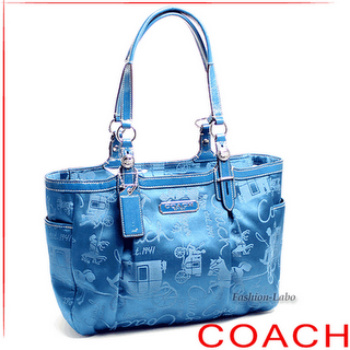 coach hobo mininova