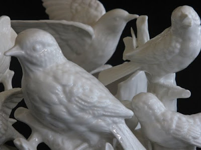 White Bird White Bird
