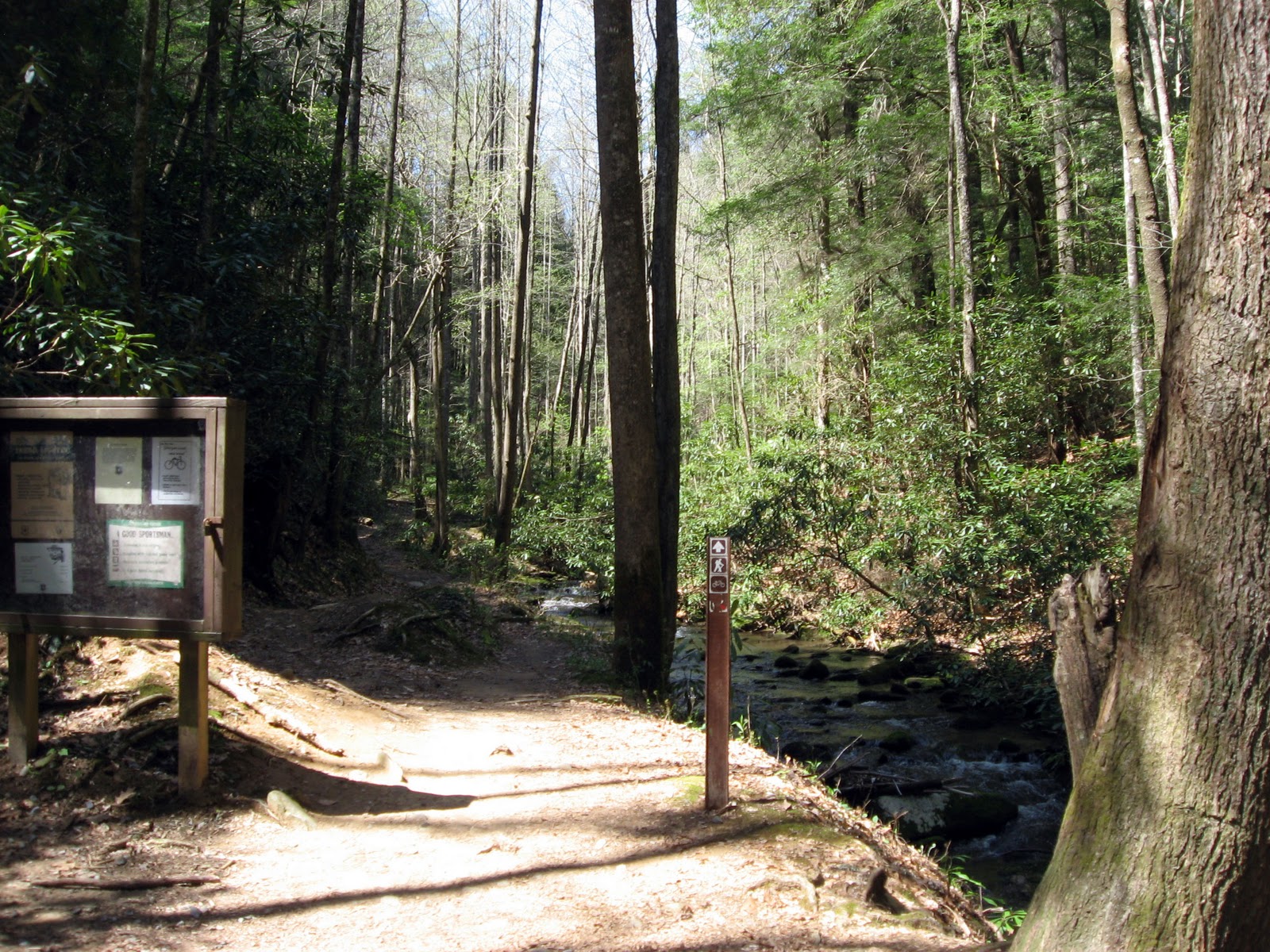 Greg Rides Trails Bear Creek, Ellijay,