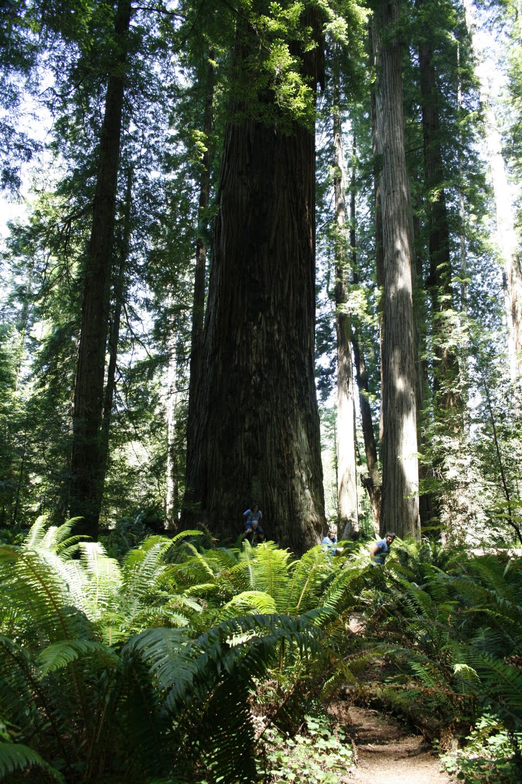 [_MG_6322.JPG]