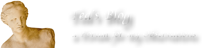 Ted's Blog