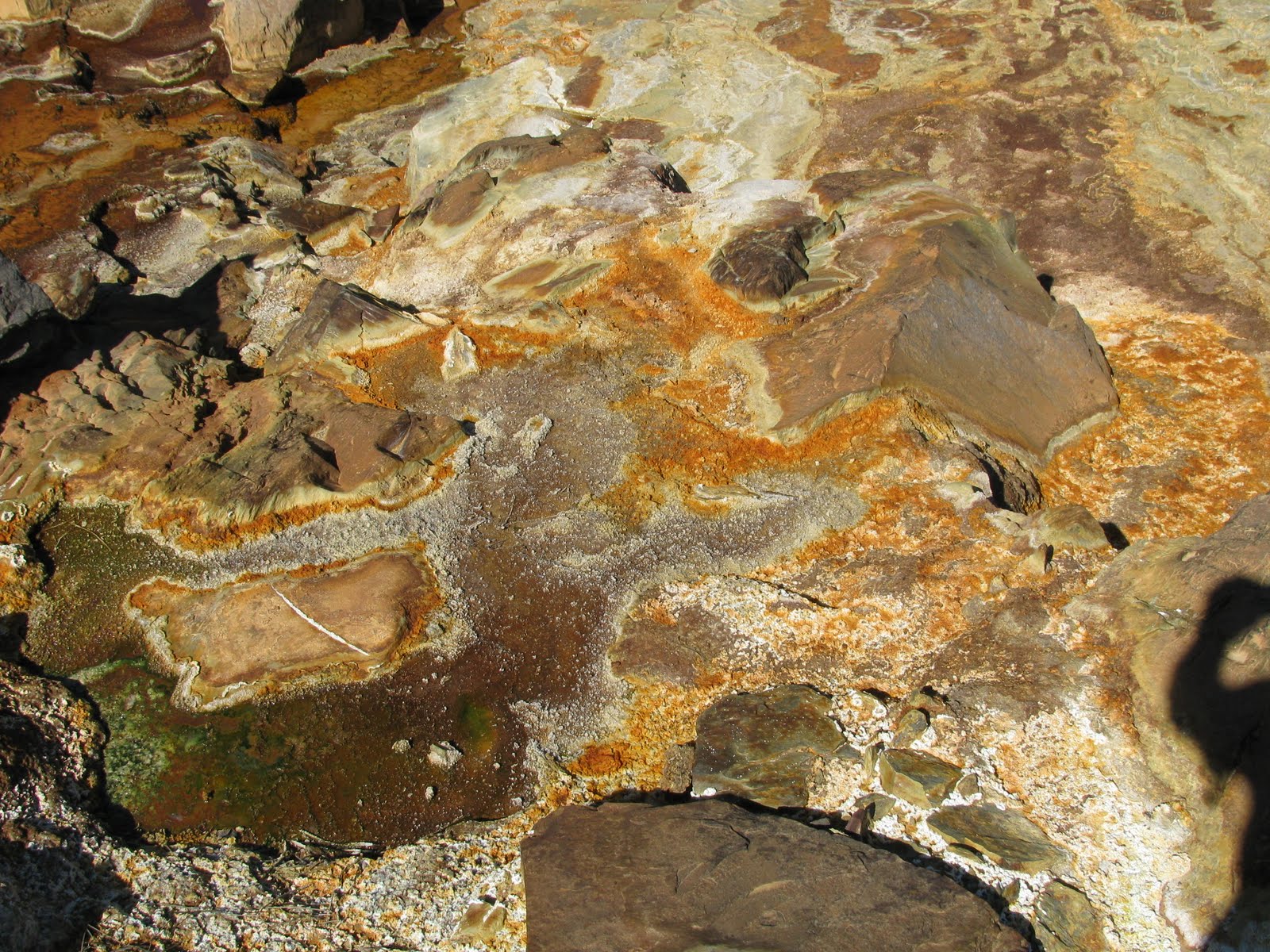 [IMG_0375.JPG]