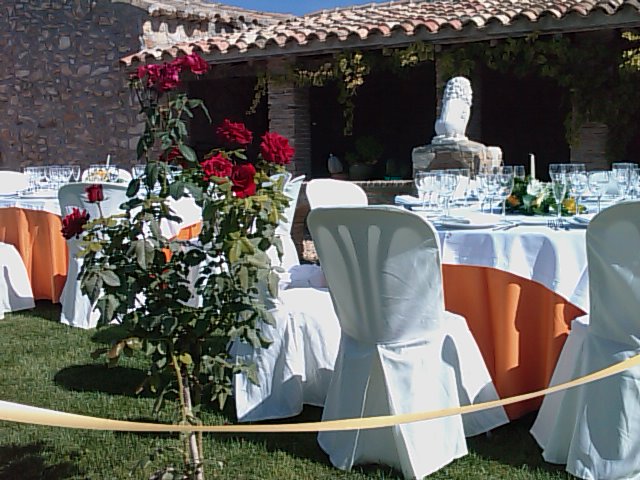 [IMAGE_462.jpg]