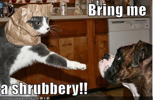 funny dog quotes funny i love you photos. funny dog quotes