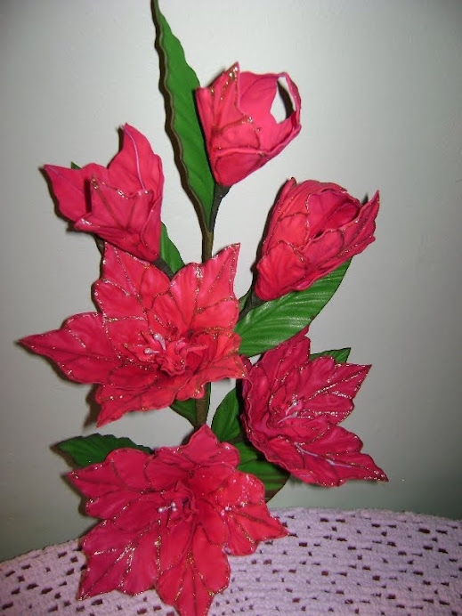 Papoula Natal.