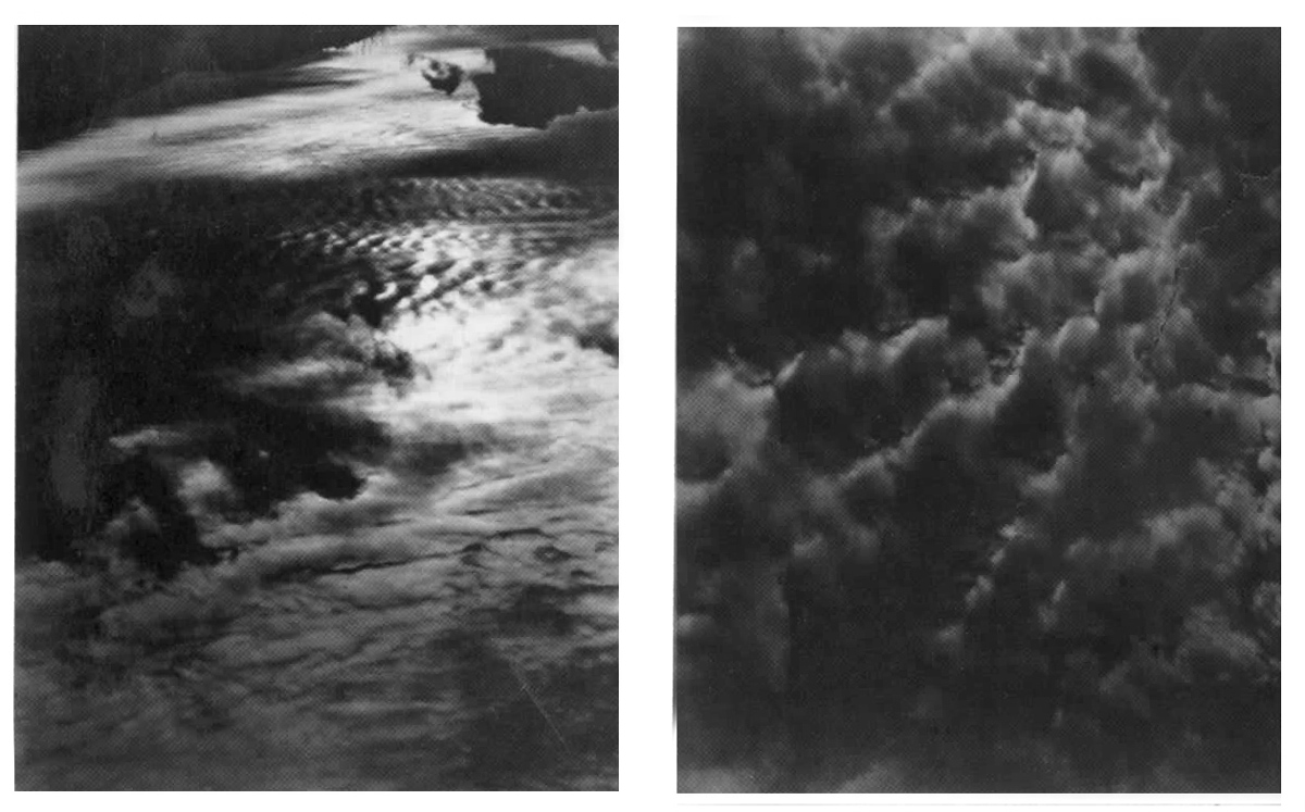 art of the beautifulgrotesque The Art of Alfred Stieglitz