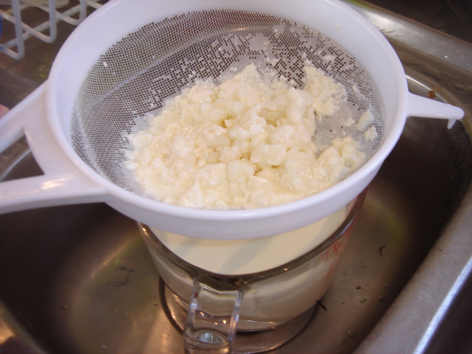 Craving Fresh How to make milk kefir