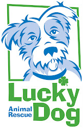 Lucky Dog Animal Rescue