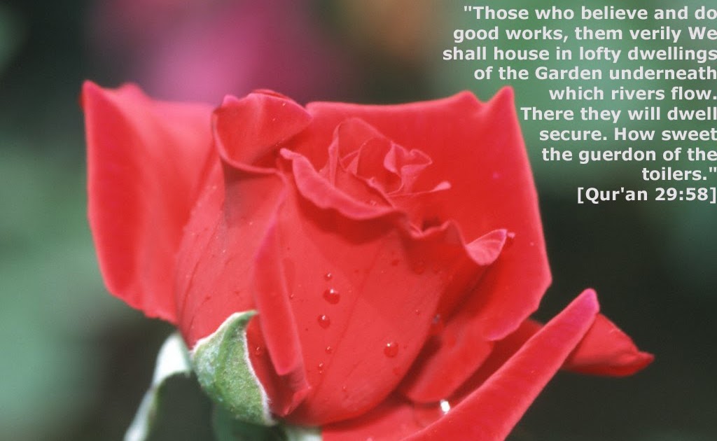 bimbingan sahabat: pesan buat sahabat