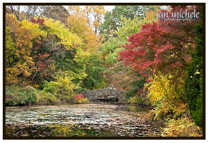 Cedarmere Long Island