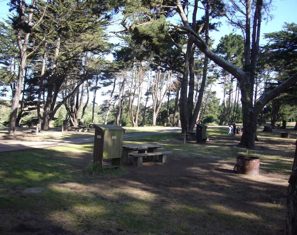 Kerri's Camping Companion