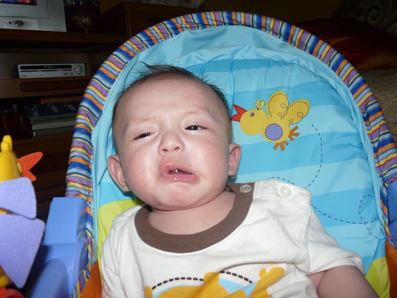 [P1070105.JPG]