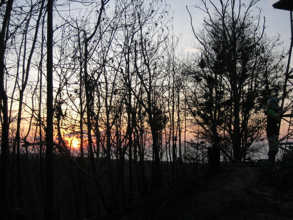 [IMG_0960.JPG]