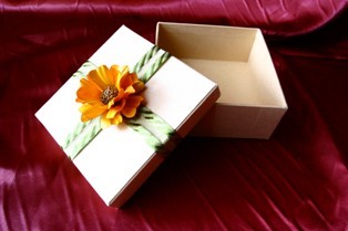 Luna Creative Box