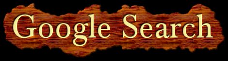 [google-search.jpg]