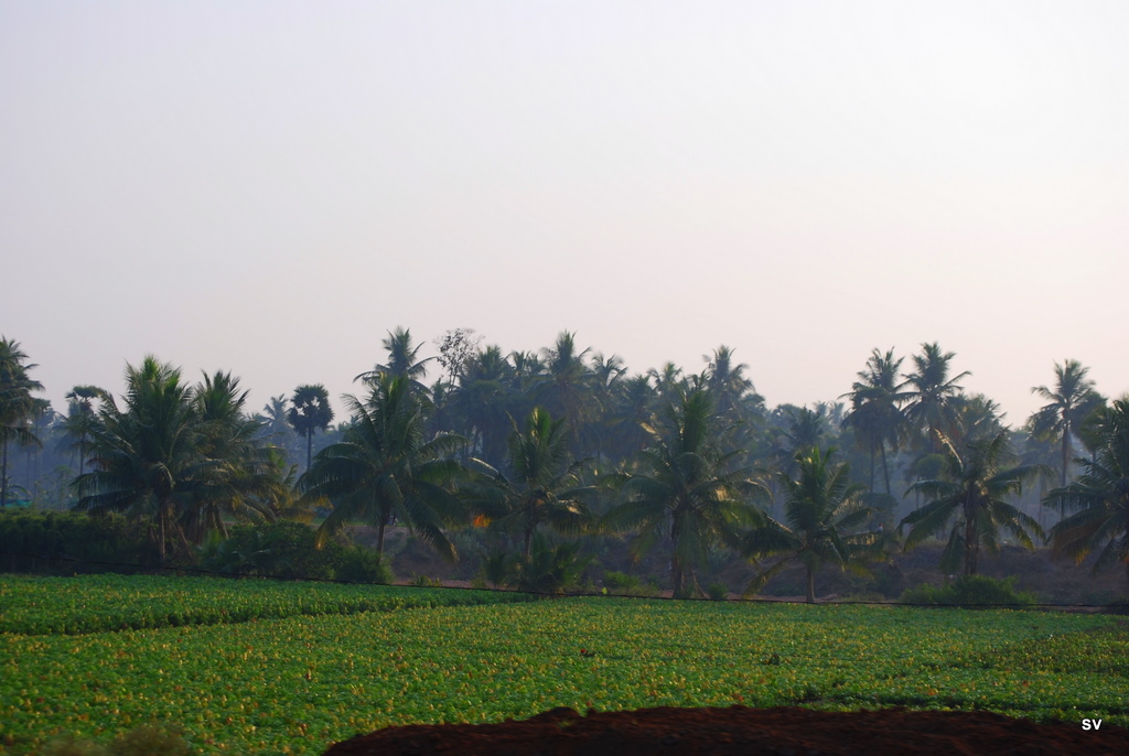 [DSC_0580.JPG]