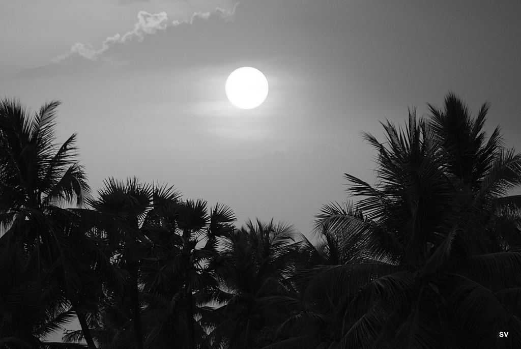 [DSC_0615.JPG]