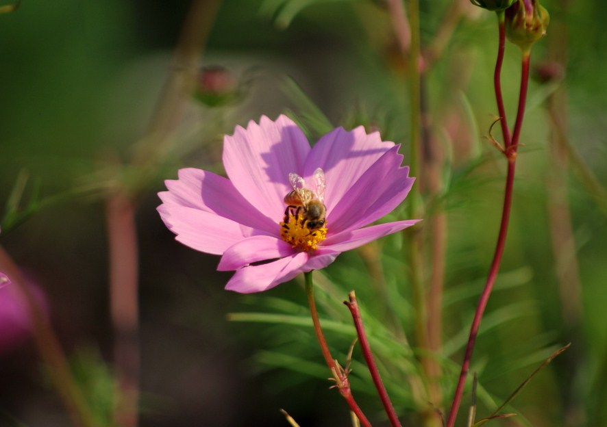 [DSC_0047.JPG]