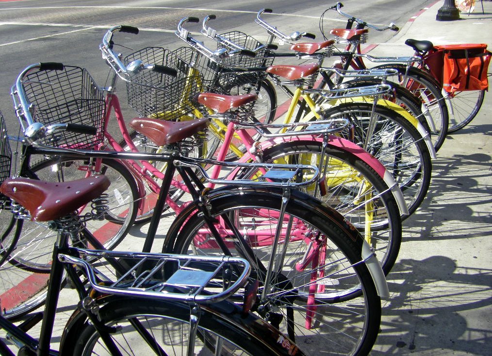 [bikes.JPG]