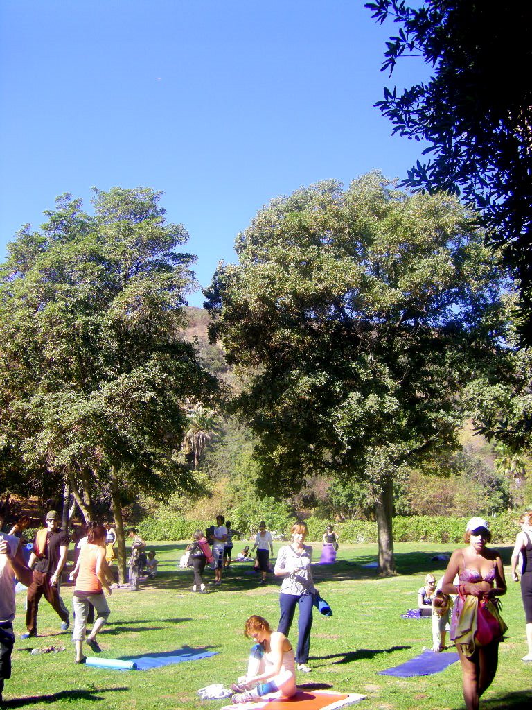 [runyon+3.JPG]