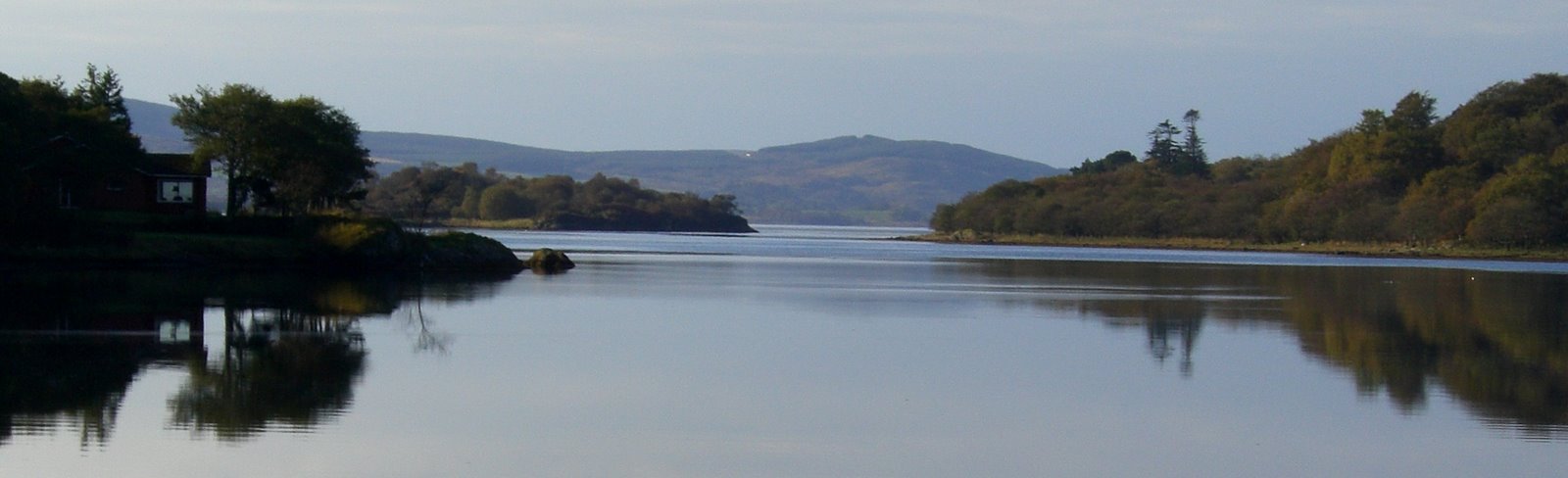 [CIMG1312CROP.JPG]