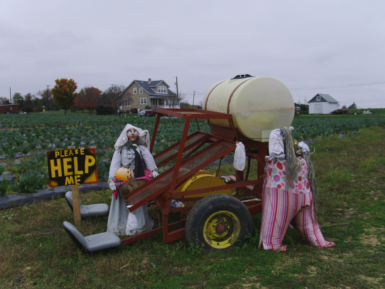 [millerfarms26.scarecrows2.JPG]