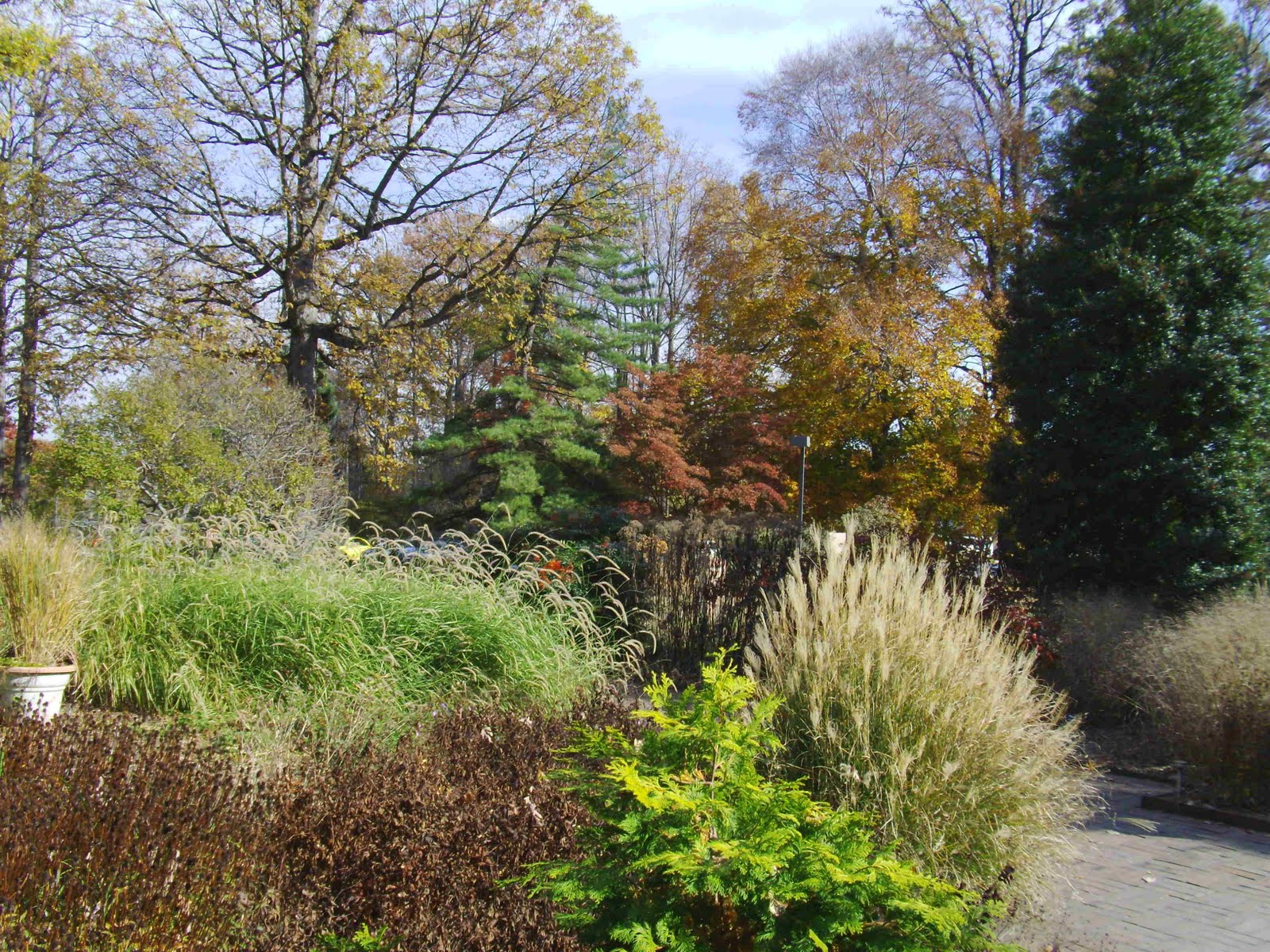 [arboretum.view1.JPG]