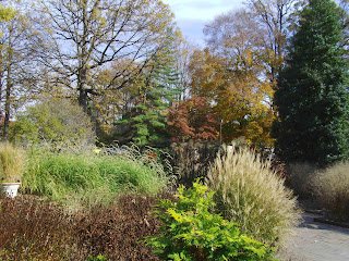 plants near entrance of National Arboretum