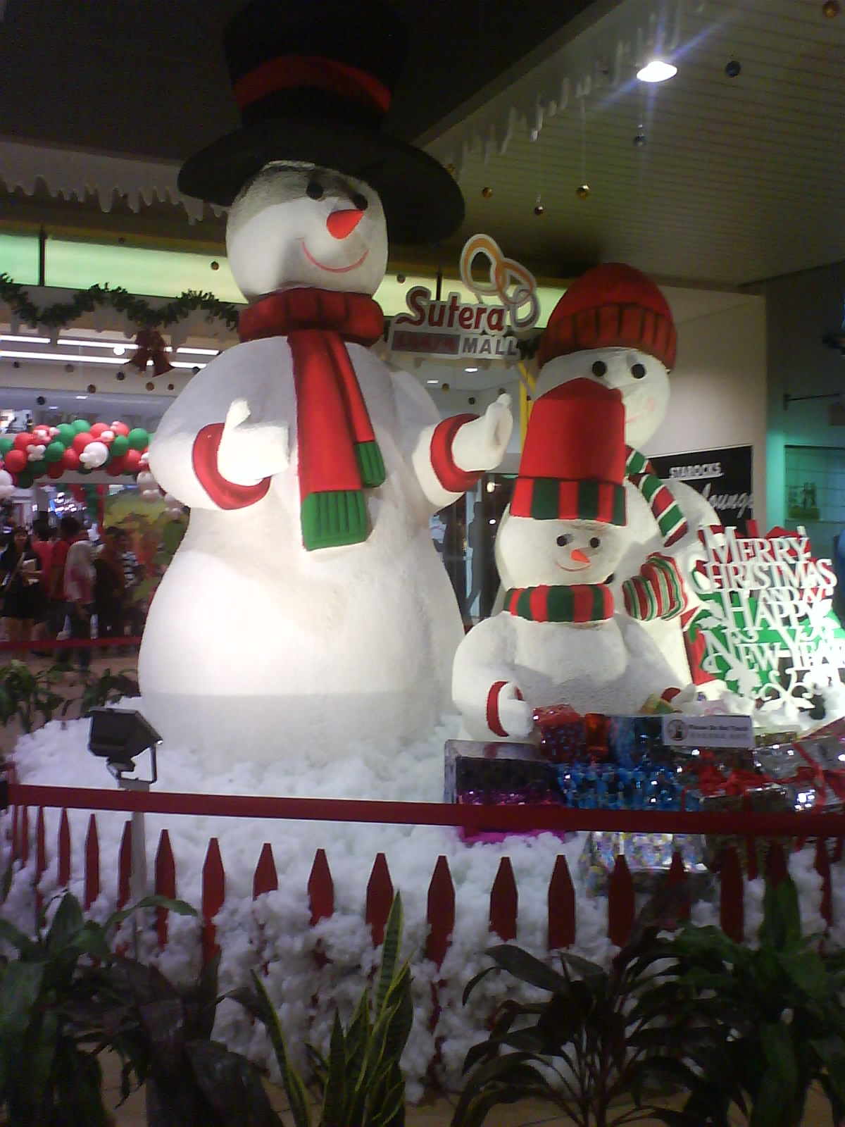 [DSC01356.JPG]