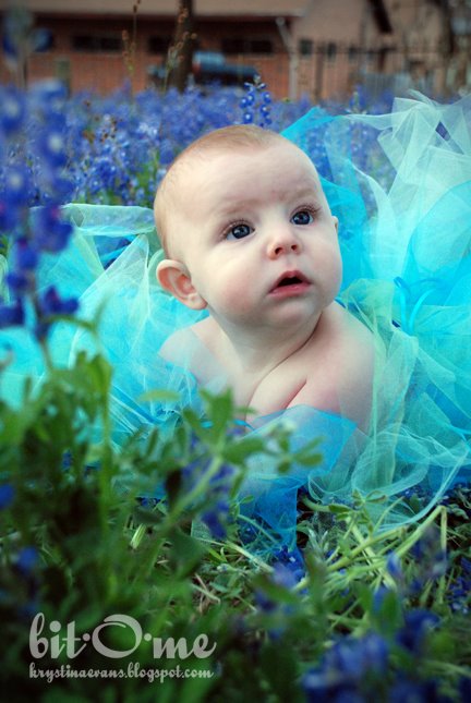 [Bluebonnets-3.jpg]
