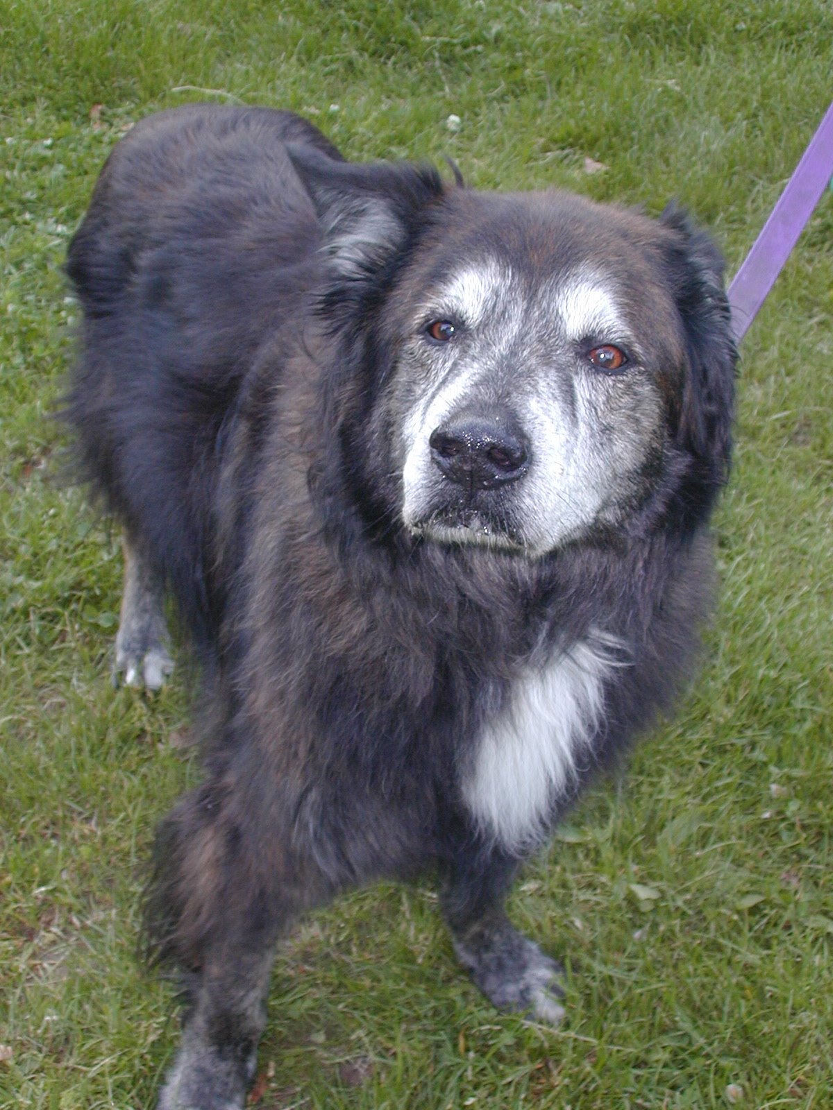 [Teddy's+Look+FGP+052007.JPG]