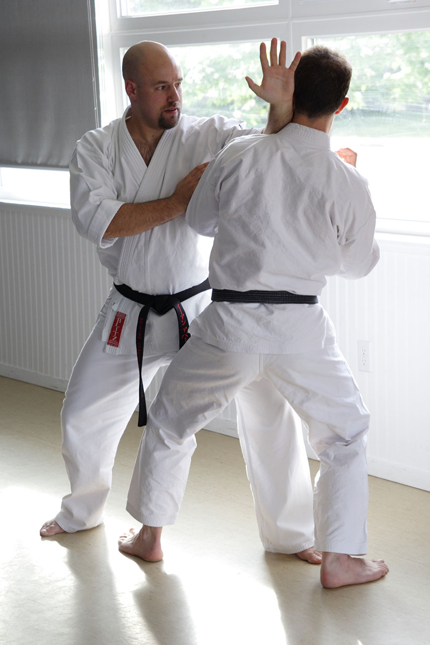 Shotokan Karate art of the empty hand Karate and modern martial arts