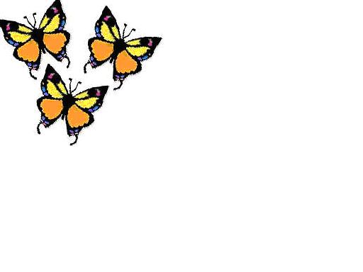 [butterflys.JPG]