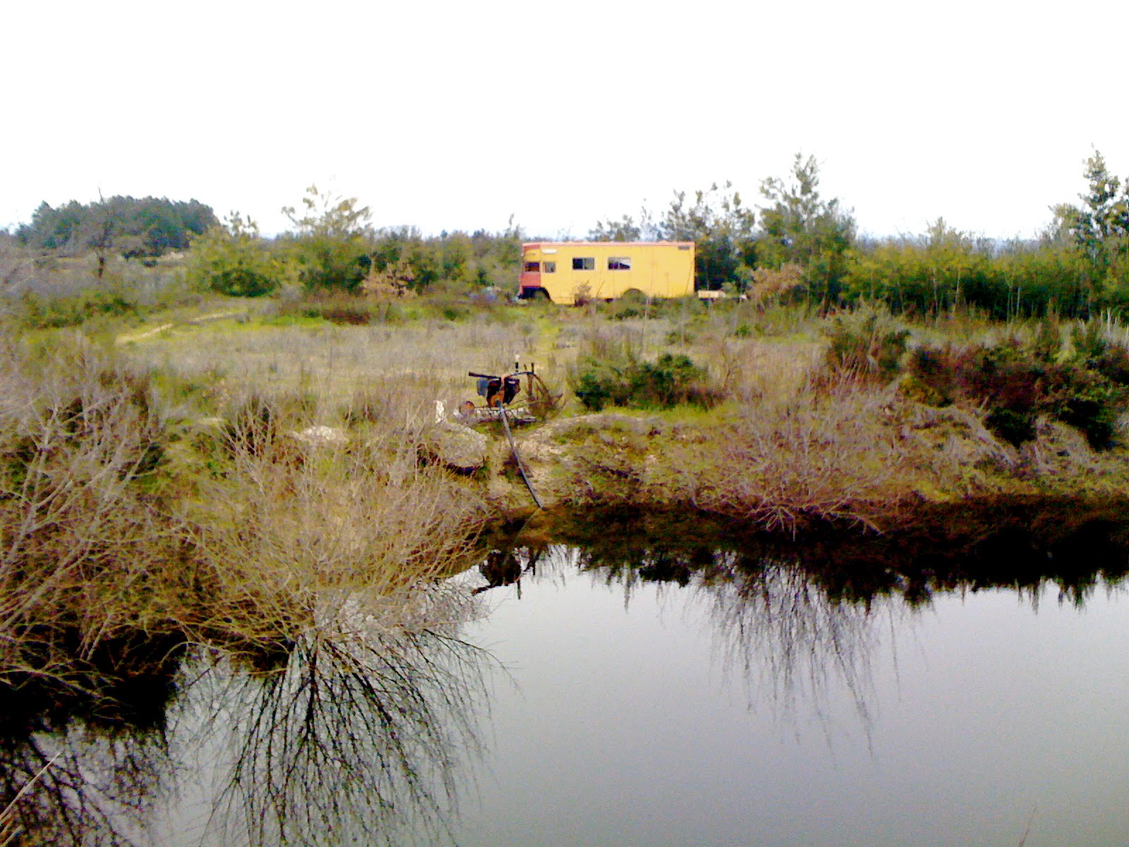 [IMG_0456.JPG]
