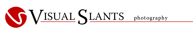 Visual Slants Investment