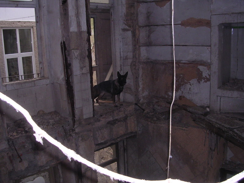 [DSCN3301.JPG]