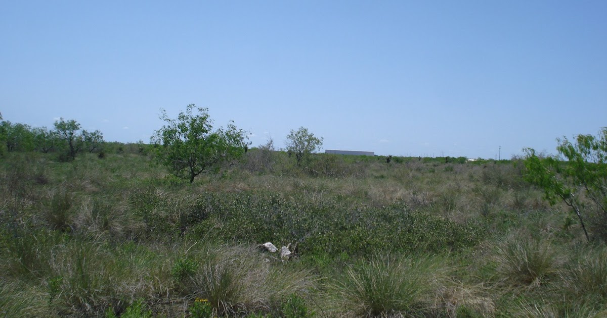 LA BATALLA DE MONTERREY 1846 BATALLAS DE PALO ALTO Y RESACA DE