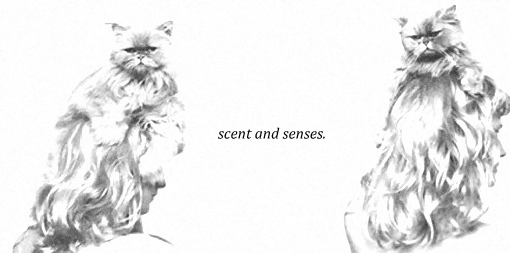 scent and the senses.