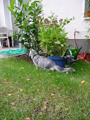 Mooooment mal, da ist doch wer!?