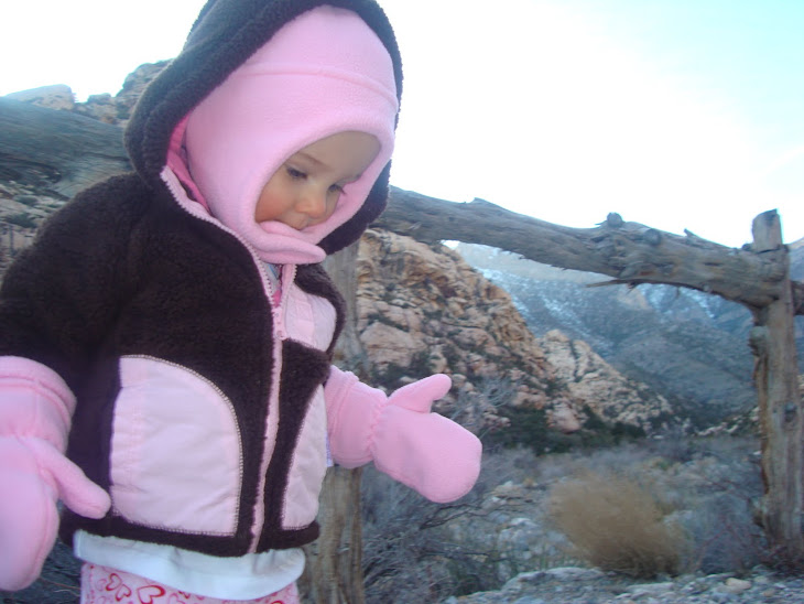 I went on my first real hike on Valentine's Day. Daddy took mommy & me to Red Rock for a picnic.