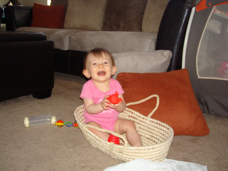 This is my new favorite thing to do. I love to climb into my basket!