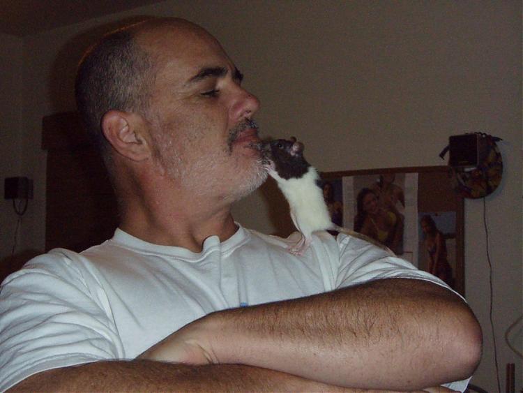 pet rats question thoughts