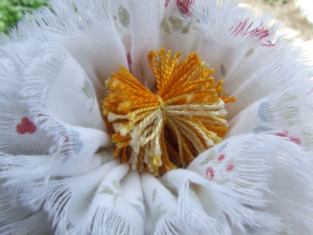 http://4.bp.blogspot.com/_O728Hix-VB0/TAKmWD6nSJI/AAAAAAAAAVk/FZfxqpbACl0/s1600/DSCF2408.jpg