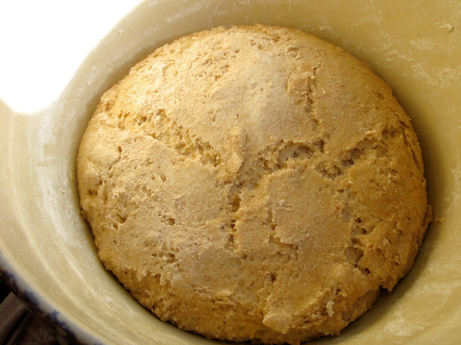 riddlelove Sourdough Whole Grain Flatbread A Recipe