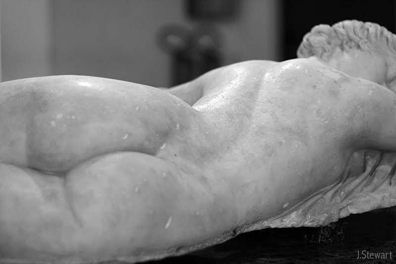 [hermaphrodite]