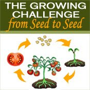 seed to seed